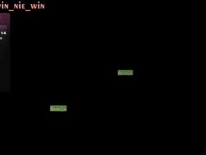 Screenshot from win_nie webcams