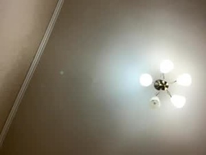 Screenshot from xeniabungard webcams