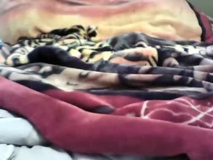 Screenshot from xobadlandsox webcams