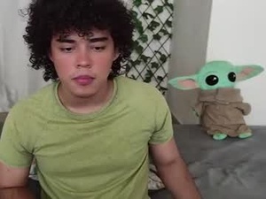 Screenshot from xtranherr webcams