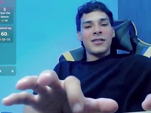 Screenshot from yankees_ webcams