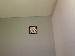 Screenshot from yisuscry66 webcams