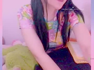 Screenshot from yokocam webcams