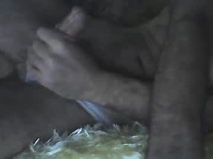 Screenshot from yuksekvoltaj webcams