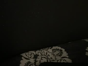 Screenshot from zennine66 webcams