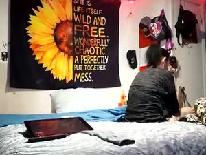 Screenshot from zombiasourus webcams